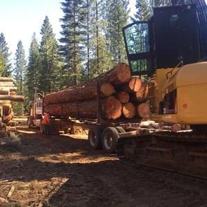 Meet your Posher, Gary